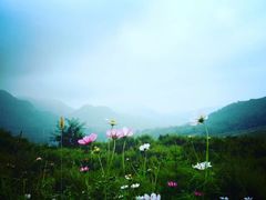 -照金红色旅游名镇