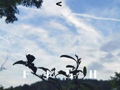 -金孔雀温泉旅游度假村