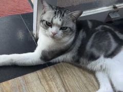 -百金通黄金回收首饰定制维修(珠江路总部)