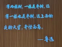 -上海外滩茂悦大酒店