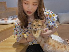 -啵啵喵·猫咖(攀华国际店)
