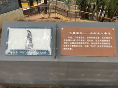 -马王堆汉墓遗址