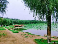 -丁香湖公园