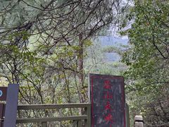-苍山感通索道