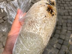 -殷姐糯米包油条