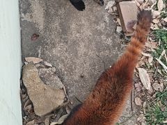 -合肥野生动物园