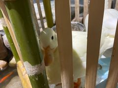 -馬蘭花開(车站大道店)
