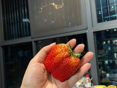 -孔雀裡融合餐厅