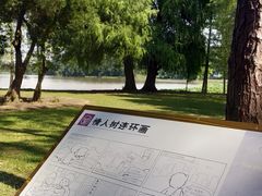 -南宁良凤江国家森林公园