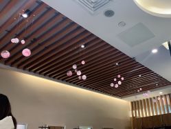 -丝域养发馆
