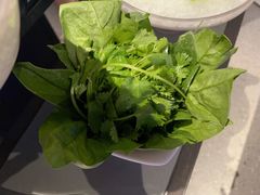 -额尔敦传统涮(公园西路店)