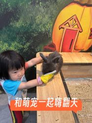 -神奇动物撸宠馆·羊驼·小浣熊·异宠(豫园店)