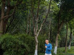 -重庆彩云湖湿地公园