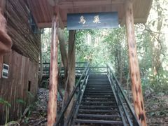 -天门沟九州驿站树上汤泉