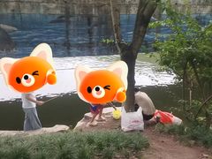 -重庆彩云湖湿地公园