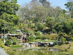 -东莞植物园