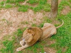 -西霞口神雕山野生动物世界