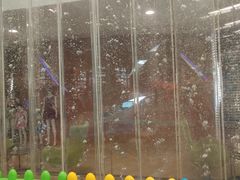 -南宫温泉水世界