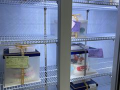 -糕小爱动物奶油生日蛋糕定制(晋江万达店)