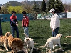 -趣玩宠物乐园寄养训犬训狗游泳池