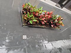 -阿伟海鲜楼·福建菜(涵江店)