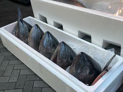 -大起水产回转寿司(道顿堀店)