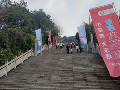 -铁山坪森林公园