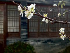 -厦门园林博览苑