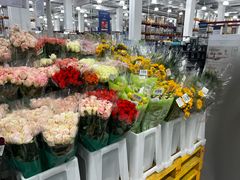 -山姆会员商店(上海浦东店)