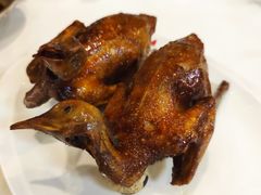 -清新鸡沙田乳鸽店(金融店)