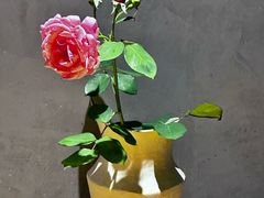 -麦秋寿司(富都广场店)