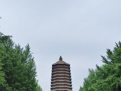 -玲珑塔公园
