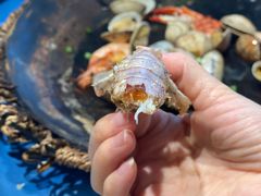 -阿毛饭店(和义路店)