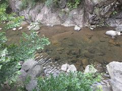 景点-宁波五龙潭景区