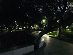 -四海公园(南山区)