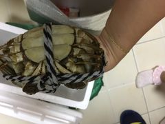 -喜洋洋蟹庄(阳澄湖店)