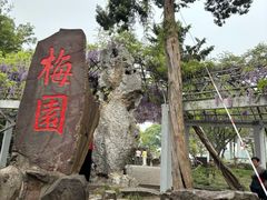 -无锡梅园公园