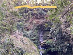 -碧峰峡风景区
