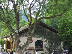 -村上春树