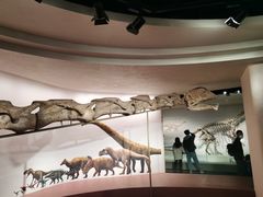 -自贡恐龙博物馆