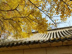 -青岛崂山太清宫