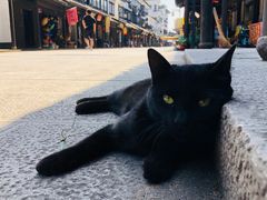 -张家港凤凰山景区恬庄古街