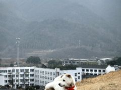 -前童古镇