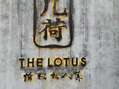 -几荷·恰似故人来(秀水广场店)