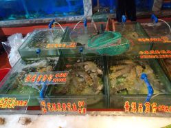 -惠食佳·宴会厅(滨江西路店)