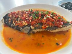 -全乐鱼馆·淳牌有机鱼直营店