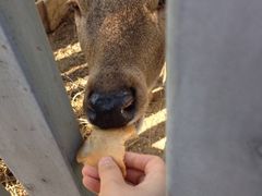 iphone_upload_pic-意大利农场度假村