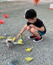 -萌宠亲子动物乐园(槐房万达店)