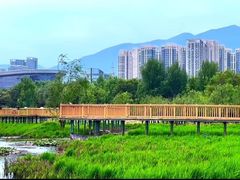 -大理国际奥林匹克体育中心