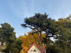 -八大关景区